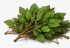 Green waste